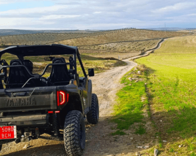 Aventura en Buggy Biplaza en Granada ofrece un emocionante paseo a través de extensos y ondulados campos bajo un cielo nublado. - ForTwo - Planes para parejas