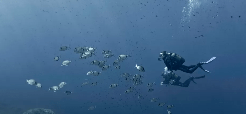 Un buceador explora las profundas aguas azules del océano, rodeado de un banco de peces durante su aventura de Bautismo de Buceo en Menorca. - ForTwo - Planes para parejas