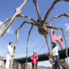 Los visitantes se sitúan bajo una gran escultura de araña junto a un puente contra el cielo azul claro mientras exploran la animada escena artística de Bilbao con "Descubre Bilbao en Segway". - ForTwo - Planes para parejas
