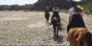 Cuatro personas montan a caballo por un sendero de arena en una playa de Menorca, disfrutando del tranquilo paseo con "Descubre Menorca a Caballo" mientras abrazan la belleza natural y sienten la suave brisa junto a la brillante costa. - ForTwo - Planes para parejas