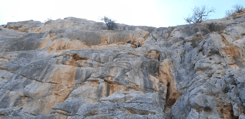 Un apasionado escalador escala un acantilado accidentado e iluminado por el sol entre arbustos y un cielo azul, destacando sus habilidades en "Escalada en Roca para Parejas Aventureras". - ForTwo - Planes para parejas