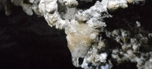 Un primer plano de una pequeña estalactita con gotas de agua en el oscuro entorno de la Cueva del Seso, una joya escondida para los amantes de la espeleología, cerca de Boltaña. - ForTwo - Planes para parejas