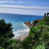 Disfrute de una vista impresionante de la costa rocosa cerca de Frigiliana durante la "Excursión a Nerja, Frigiliana y El Acebuchal", donde la exuberante vegetación domina el océano bajo un cielo parcialmente nublado. - ForTwo - Planes para parejas