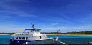 Un barco en tonos blancos y azules se encuentra atracado en un mar turquesa claro, enmarcado por una playa de arena y frondosos árboles verdes, encarnando el espíritu de una "Excursión en Barco en el sur de Menorca". - ForTwo - Planes para parejas