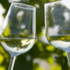 Dos copas de Vino y Gastronomía en Álora tintinean sobre un fondo borroso de hojas verdes y amarillas, capturando el vibrante espíritu de la gastronomía en Álora. - ForTwo - Planes para parejas