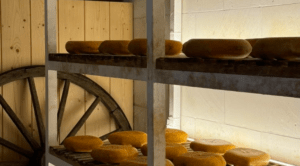 La Visita a la Quesería Subaida permite observar la maduración de las ruedas de queso en rústicas estanterías de madera junto a una gran rueda, mostrando el trabajo artesanal de la elaboración del queso. - ForTwo - Planes para parejas