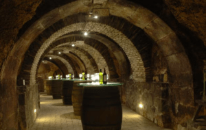 La "Excursión a Laguardia y Haro desde Bilbao" incluye la visita a una encantadora bodega de piedra en Laguardia, con techos abovedados y mesas hechas con barriles decorados con botellas, lo que realza su atractivo rústico. - ForTwo - Planes para parejas