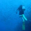 Un buceador con aletas amarillas explora aguas azules cerca de un gran banco de peces, disfrutando de una experiencia inolvidable con "Inmersión de Buceo en Marbella. - ForTwo - Planes para parejas