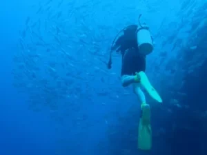 Un buceador con aletas amarillas explora aguas azules cerca de un gran banco de peces, disfrutando de una experiencia inolvidable con "Inmersión de Buceo en Marbella. - ForTwo - Planes para parejas