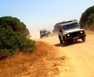 Aventura en 4x4 por la Costa del Sol ofrece a los amantes de las emociones fuertes la oportunidad de levantar polvo en senderos accidentados rodeados de arbustos y árboles secos, todo ello bajo un cielo azul claro. - ForTwo - Planes para parejas