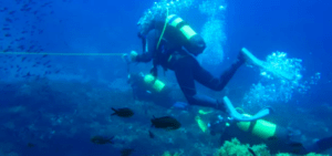 Un buceador, sosteniendo una guía, explora corales y peces vibrantes en las maravillas submarinas de Buceo Alcocéber durante un Bautismo de Buceo en Alcocéber. - ForTwo - Planes para parejas