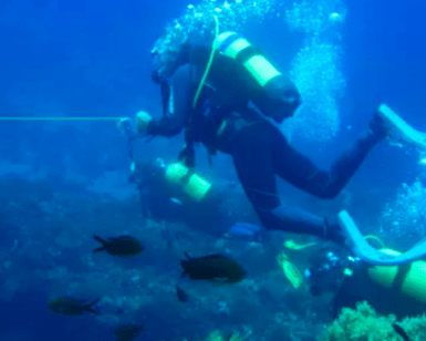 Un buceador, sosteniendo una guía, explora corales y peces vibrantes en las maravillas submarinas de Buceo Alcocéber durante un Bautismo de Buceo en Alcocéber. - ForTwo - Planes para parejas