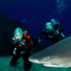 Dos buceadores posan bajo el agua con un gran tiburón, frente al agua azul oscuro, resaltando la emocionante experiencia "Bucea con tiburones en Palma Aquarium". - ForTwo - Planes para parejas