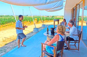 En un patio soleado con vistas a un frondoso viñedo, se presenta al público "Descubre Vinos y Vermut en Bodega de Menorca". El evento destaca una exquisita selección de vinos locales, mostrando la rica tradición y artesanía de la región. - ForTwo - Planes para parejas