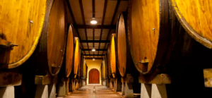 Una bodega poco iluminada con grandes barriles de madera alineados a ambos lados de un estrecho pasillo invita a una escapada gastronómica a Astigarraga. - ForTwo - Planes para parejas