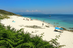 La Excursión en Barco a la Isla de Ons revela una playa de arena blanca y sombrillas azules, donde la gente se relaja mientras un velero se desliza por el mar turquesa. Este paraíso costero, bajo un cielo despejado, captura la serena belleza, perfecta para explorar. - ForTwo - Planes para parejas