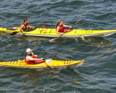 Tres personas explorando las aguas soleadas en dos piraguas amarillas, deslizándose como susurros sobre la superficie brillante, con sus chalecos salvavidas vibrantes contra el fondo: un día perfecto para la aventura. - ForTwo - Planes para parejas