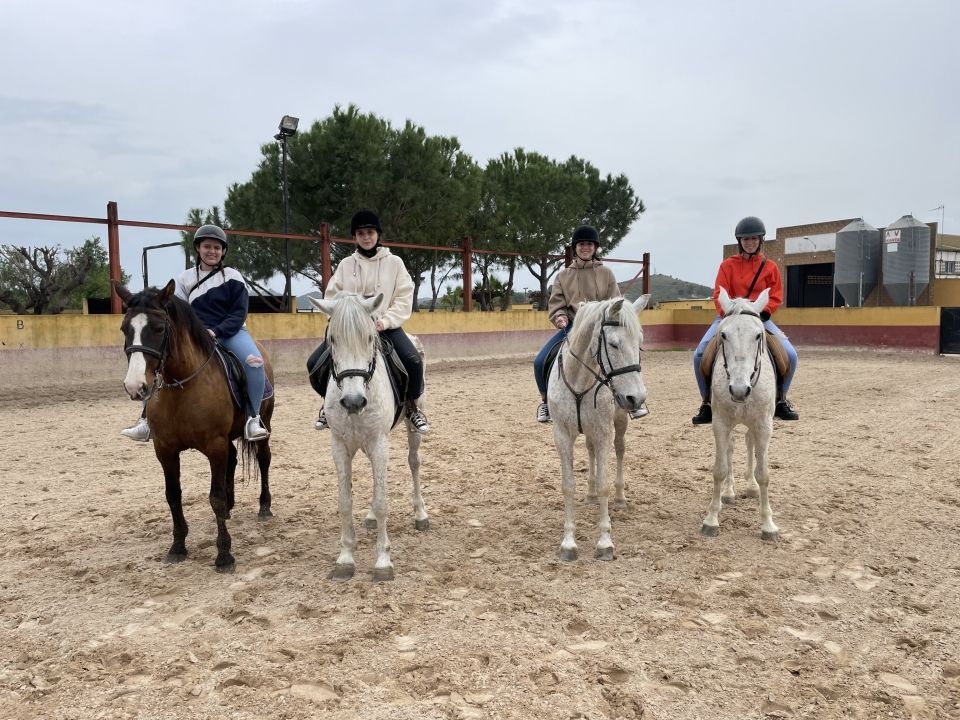 Cuatro jinetes, con casco y equipo, se sientan a lomos de sus caballos en el picadero al aire libre de Llíria, rodeados de frondosos árboles. Experimente el encantador "Paseo a caballo en Llíria: un plan romántico en la naturaleza" y disfrute de la belleza natural. - ForTwo - Planes para parejas