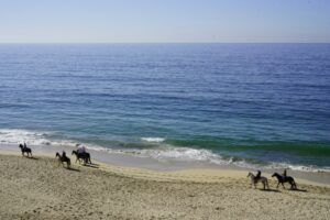 A los jinetes les encanta el Paseo a caballo por la playa de Xeraco, experimentando la tranquilidad a lo largo de las orillas de arena mientras las suaves olas susurran bajo un cielo azul claro. - ForTwo - Planes para parejas