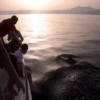 En un tranquilo "Paseo en velero con avistamiento de delfines" al atardecer, la gente disfruta de la encantadora vista de los delfines nadando graciosamente en el mar tranquilo. - ForTwo - Planes para parejas
