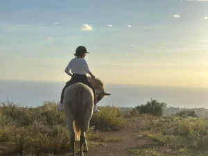 Una persona disfruta del paseo a caballo Ruta a Caballo en Marbella, contemplando las vistas del océano al atardecer en medio de paisajes cubiertos de hierba y árboles dispersos. - ForTwo - Planes para parejas