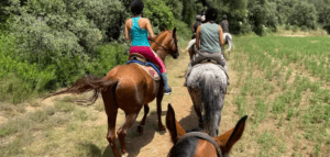 Personas experimentando la "Ruta a Caballo por el Valle del Río Ser" a caballo, explorando la exuberante vegetación y los extensos campos. - ForTwo - Planes para parejas