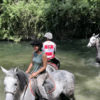 Los jinetes cruzan elegantemente el río poco profundo Valle del Río Ser, envuelto en una exuberante vegetación, en su aventura Ruta a Caballo por el Valle del Río Ser. - ForTwo - Planes para parejas