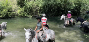 Los jinetes cruzan elegantemente el río poco profundo Valle del Río Ser, envuelto en una exuberante vegetación, en su aventura Ruta a Caballo por el Valle del Río Ser. - ForTwo - Planes para parejas