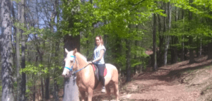Una persona disfruta de la "Ruta a caballo por Bilbao" en un caballo marrón claro a lo largo de un sendero forestal cerca de Bilbao, rodeado de frondosos árboles verdes y luz solar moteada. - ForTwo - Planes para parejas