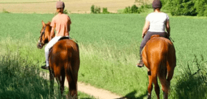 Dos personas disfrutan de una Ruta a caballo por Bilbao por un sendero a través de campos verdes bajo el cielo soleado. - ForTwo - Planes para parejas