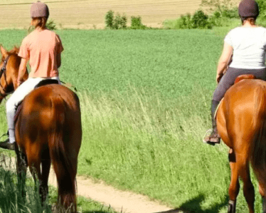 Dos personas disfrutan de una Ruta a caballo por Bilbao por un sendero a través de campos verdes bajo el cielo soleado. - ForTwo - Planes para parejas