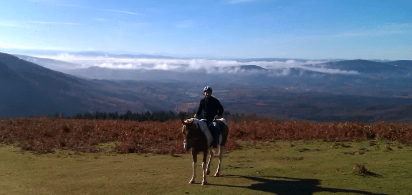 Un jinete sigue elegantemente la Ruta a caballo por Bilbao sobre una colina cubierta de hierba, con majestuosas montañas como telón de fondo y un cielo nublado. - ForTwo - Planes para parejas