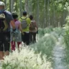 Los excursionistas disfrutan de caminar a través de un bosque por un sendero estrecho bordeado de hierba alta y árboles mientras se dirigen hacia el majestuoso volcán Cerro de Agras en Senderismo por el volcán Cerro de Agras. - ForTwo - Planes para parejas