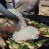 Arroz, pollo, judías verdes y ajo se añaden a una sartén grande como parte de la Experiencia Completa del Taller de Paella en Villa Indiano. - ForTwo - Planes para parejas