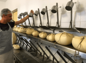En la sala de elaboración de lácteos, un quesero de Ferreries inspecciona quesos redondos, como el aclamado Taller de Queso Mahón-Menorca en Ferreries, colgado en un estante metálico. - ForTwo - Planes para parejas