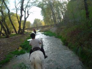 Una persona monta un caballo blanco a lo largo de un arroyo poco profundo y bordeado de árboles, que recuerda la pintoresca "Ruta a Caballo en Novallas: Especial para parejas", con otro jinete siguiéndolo con gracia detrás. - ForTwo - Planes para parejas