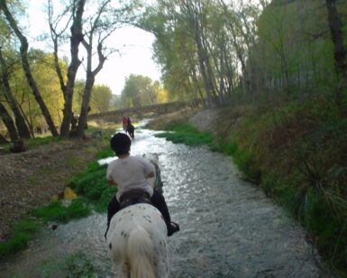 Una persona monta un caballo blanco a lo largo de un arroyo poco profundo y bordeado de árboles, que recuerda la pintoresca "Ruta a Caballo en Novallas: Especial para parejas", con otro jinete siguiéndolo con gracia detrás. - ForTwo - Planes para parejas