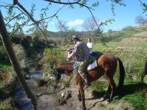 Dos parejas a caballo recorren con gracia un arroyo en un paisaje herboso, rodeado de árboles bajo un cielo azul claro, un momento perfecto en la pintoresca "Ruta a Caballo en Novallas: Especial para parejas". - ForTwo - Planes para parejas