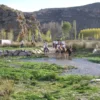 En la impresionante Sierra de Moncayo, jinetes a caballo y un perro recorren un arroyo poco profundo, enmarcado por acantilados rocosos y árboles: un día perfecto en la Ruta a Caballo por la Sierra de Moncayo. - ForTwo - Planes para parejas