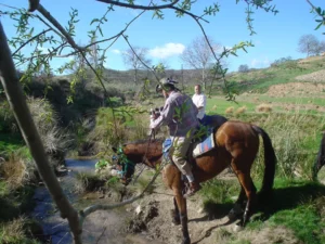 Una persona a caballo cruza un arroyo en el paisaje herboso de la Sierra de Moncayo, rodeado de colinas y árboles bajo un cielo despejado, capturando el espíritu de "Ruta a Caballo por la Sierra de Moncayo". - ForTwo - Planes para parejas