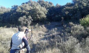 Con Tiro con Arco 3D en Luesia: Una Aventura en Plena Naturaleza, los arqueros se sumergen en un denso paisaje boscoso, transformando la tranquila zona verde en una vibrante experiencia de tiro al blanco. - ForTwo - Planes para parejas