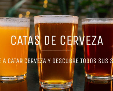 Un Viaje Sensorial para Parejas Cerveceras