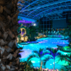 Escapada a Bucarest y al spa más grande de Europa" cuenta con una lujosa piscina tropical cubierta con palmeras y brillantes aguas azules bajo una magnífica cúpula de cristal, que ofrece una encantadora escapada al estilo europeo en el corazón de Bucarest por la noche. - ForTwo - Planes para parejas