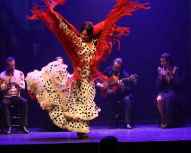Espectáculo de Flamenco en Madrid