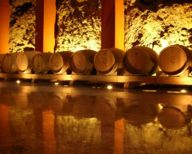 Visita a bodega en Tenerife